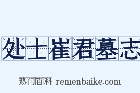 处士崔君墓志是什么意思的图片